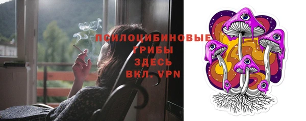 2c-b Ладушкин
