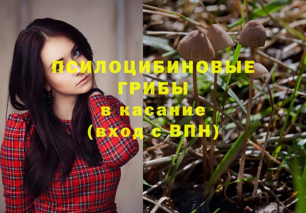 бошки Лагань