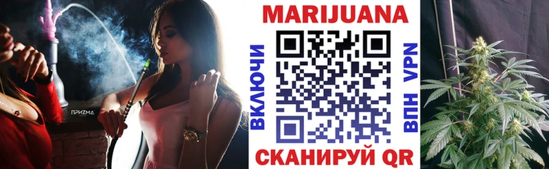Каннабис сатива  продажа наркотиков  Фокино 